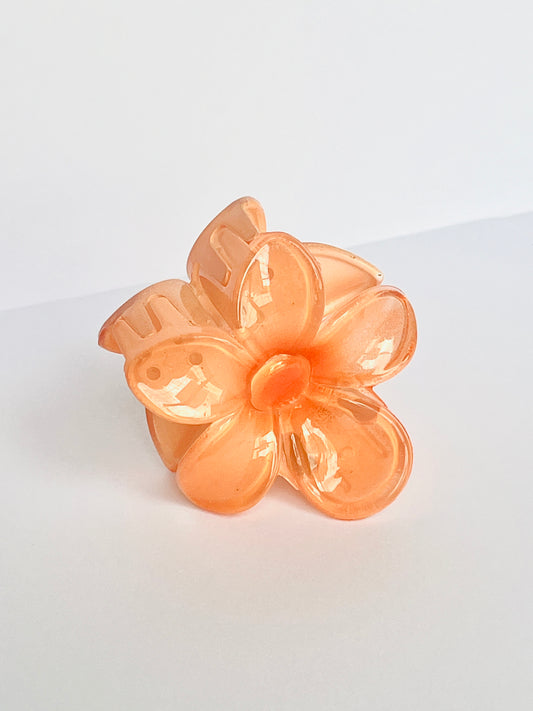 Orange Daisy Claw