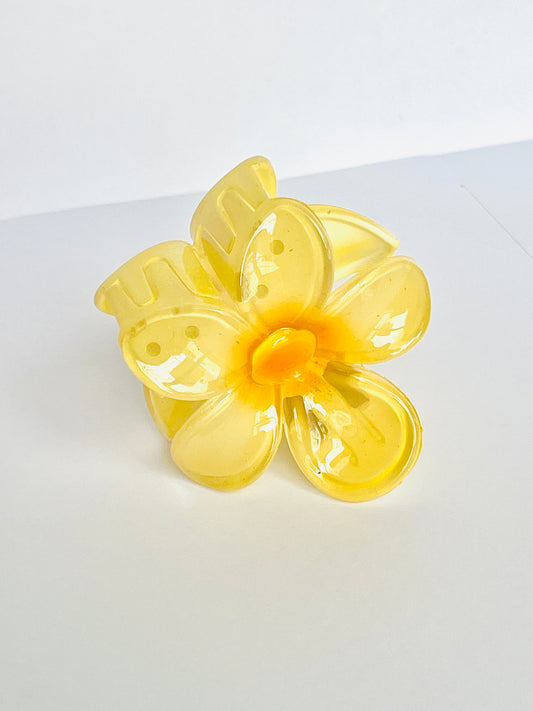 Yellow Daisy Claw