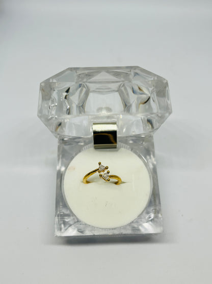 Adjustable Ring 19
